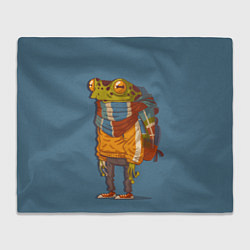 Плед флисовый Лягуха-путешественица, цвет: 3D-велсофт