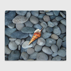 Плед флисовый Одинокая ракушка среди морских камней, цвет: 3D-велсофт