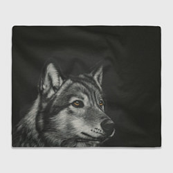 Плед флисовый Спокойный серый волк, цвет: 3D-велсофт