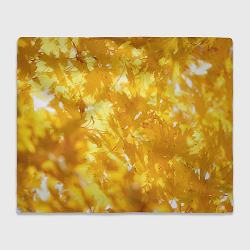 Плед Золотые листья на ветках / 3D-Велсофт – фото 1