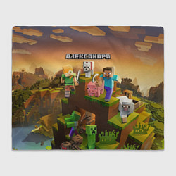 Плед флисовый Александра Minecraft, цвет: 3D-велсофт