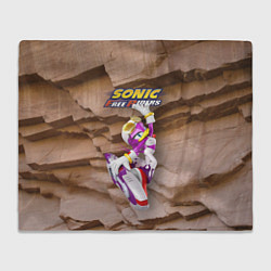 Плед флисовый Wave the Swallow - Sonic Free Riders, цвет: 3D-велсофт