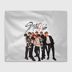 Плед флисовый Stray Kids white background, цвет: 3D-велсофт