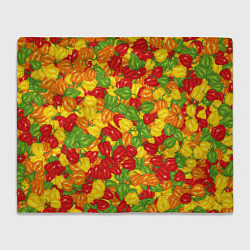 Плед флисовый Острый перц Хабанеро, цвет: 3D-велсофт