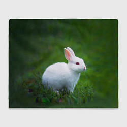 Плед флисовый Кролик на фоне травы, цвет: 3D-велсофт