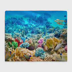 Плед флисовый Дно морское, цвет: 3D-велсофт
