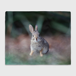 Плед флисовый Малыш кролик, цвет: 3D-велсофт