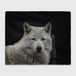 Плед флисовый Серый волк на темном фоне, цвет: 3D-велсофт