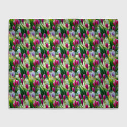 Плед флисовый Весенние тюльпаны и подснежники, цвет: 3D-велсофт