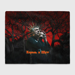 Плед флисовый Горшок с микрофоном, цвет: 3D-велсофт