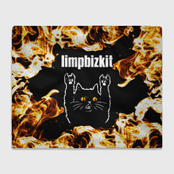 Плед флисовый Limp Bizkit рок кот и огонь, цвет: 3D-велсофт