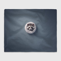 Плед флисовый Мордочка маленького енота, цвет: 3D-велсофт