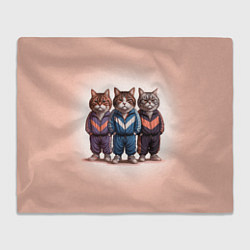 Плед флисовый Три полосатых кота в спортивных костюмах пацана, цвет: 3D-велсофт