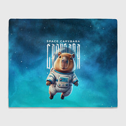 Плед флисовый Space capybara, цвет: 3D-велсофт