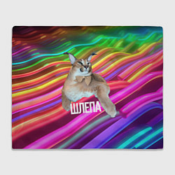 Плед флисовый Мем кот Шлепа, цвет: 3D-велсофт