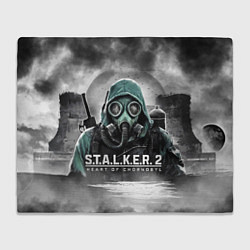 Плед флисовый Stalker 2 heart of Chornobyl radiation, цвет: 3D-велсофт