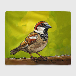 Плед флисовый Большой воробей, цвет: 3D-велсофт