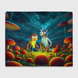 Плед флисовый Rick and Morty on the fly agaric planet, цвет: 3D-велсофт
