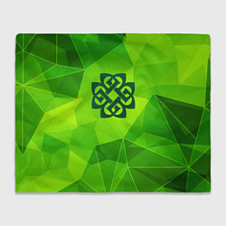 Плед флисовый Breaking Benjamin green poly, цвет: 3D-велсофт