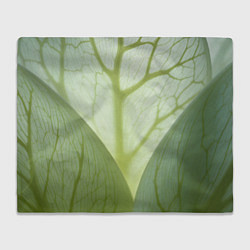 Плед флисовый Макро съемка листа, цвет: 3D-велсофт