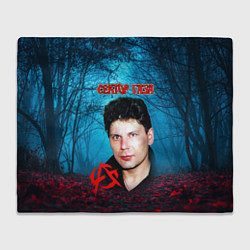 Плед флисовый Сектор газа вечерний лес, цвет: 3D-велсофт