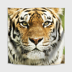 Скатерть для стола Амурский тигр цвета 3D-принт — фото 1