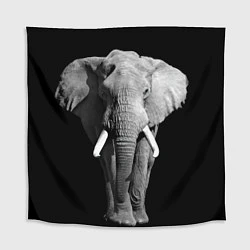 Скатерть для стола Старый слон, цвет: 3D-принт