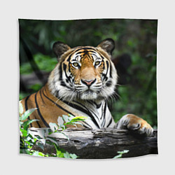 Скатерть для стола Тигр в джунглях, цвет: 3D-принт