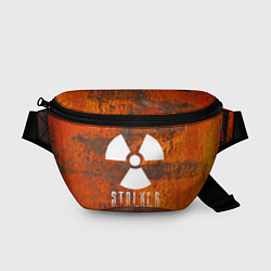 Поясная сумка S.T.A.L.K.E.R: Steampunk, цвет: 3D-принт