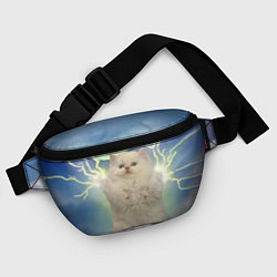 Поясная сумка Грозовой Котик, цвет: 3D-принт — фото 2