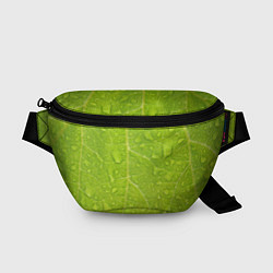 Поясная сумка Листок с росой, цвет: 3D-принт