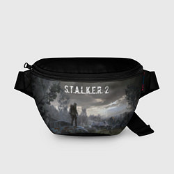 Поясная сумка STALKER 2, цвет: 3D-принт