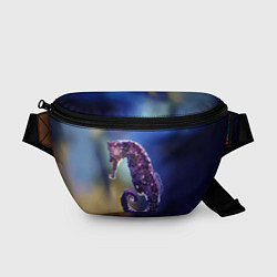 Поясная сумка Морской конёк, цвет: 3D-принт