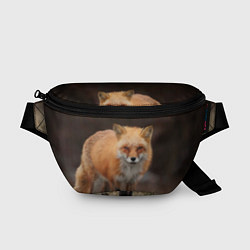 Поясная сумка Хитрая лисица, цвет: 3D-принт