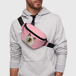 Поясная сумка Пушистый кот, цвет: 3D-принт — фото 2