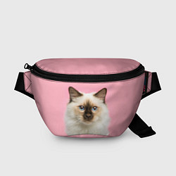 Поясная сумка Пушистый кот, цвет: 3D-принт