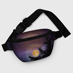 Поясная сумка Night sky with full moon by Apkx, цвет: 3D-принт — фото 2