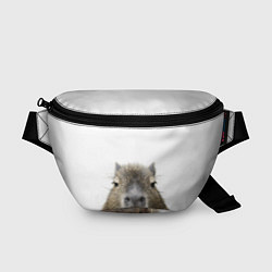Поясная сумка Капибара пофигист, цвет: 3D-принт