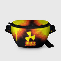 Поясная сумка Stalker броня радиоктивная, цвет: 3D-принт