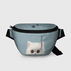 Поясная сумка Кот-пушистик, цвет: 3D-принт