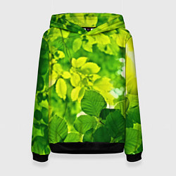 Толстовка-худи женская Зелёные листья, цвет: 3D-черный