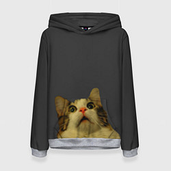 Толстовка-худи женская Коте смотрит вверх, цвет: 3D-меланж