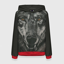 Толстовка-худи женская Крупная морда серого волка, цвет: 3D-красный