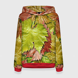 Толстовка-худи женская Осенние листья клёна - паттерн, цвет: 3D-красный