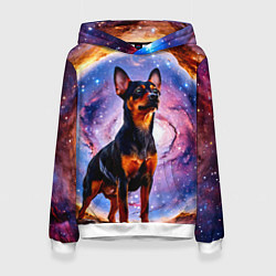 Толстовка-худи женская Пинчер в космосе, цвет: 3D-белый