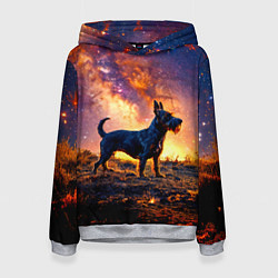 Толстовка-худи женская Скотч-терьер в космосе, цвет: 3D-меланж