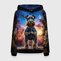 Толстовка-худи женская Ризеншнауцер в космосе, цвет: 3D-черный