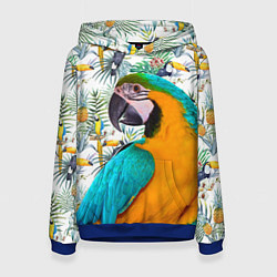 Толстовка-худи женская Летний попугай, цвет: 3D-синий