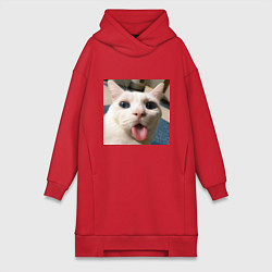 Женское худи-платье Мем про кота, цвет: красный