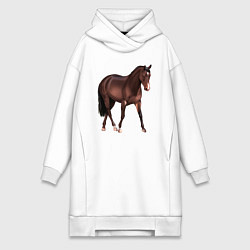 Женское худи-платье Австралийская пастушья лошадь, цвет: белый
